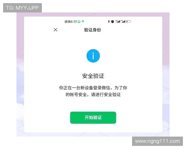 如何安全访问大玩家平台登录网址,确保账号安全